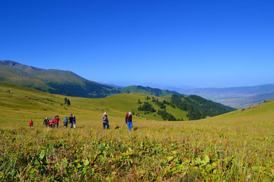 Trekking / hiking